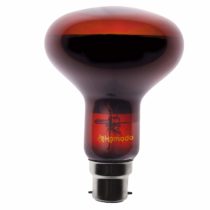 Komodo Night Spot Bulb R63 BC, 75 Watt