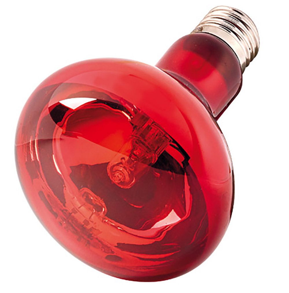 Hobby infrared light eco, 28 W - Image 2