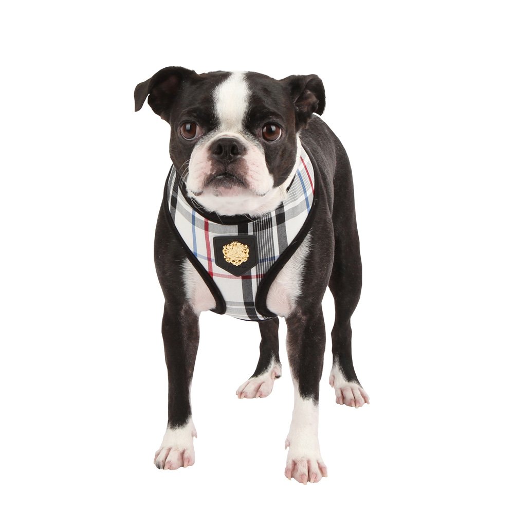 Puppia Junior Harness, Medium, Black - Image 4