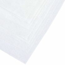 Papstar 81342 Sieve and Filter Papers Set of 10 100 x 100 cm White