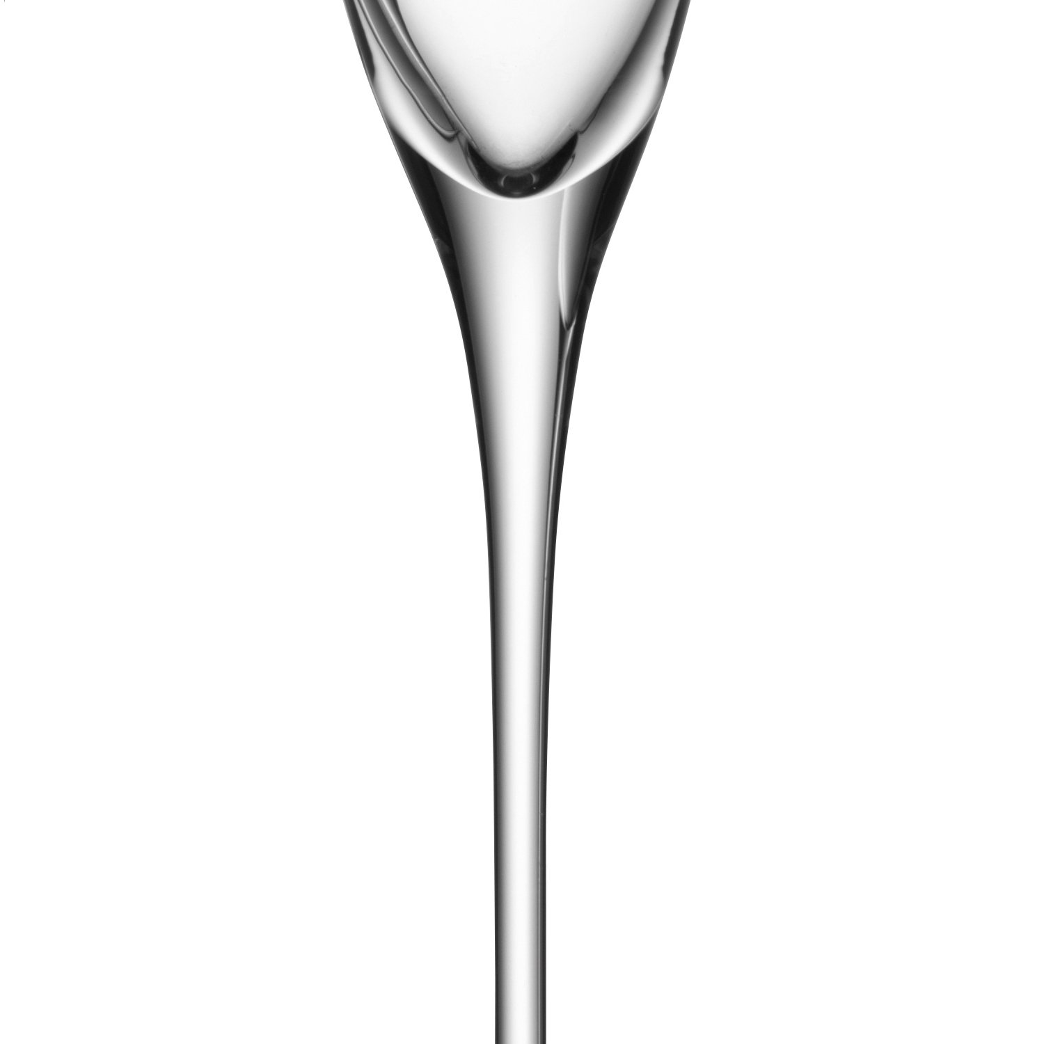 LSA Wine Champagne Flute 160ml Clear, Champagne Glasses, 4 Count (Pack of 1) - Image 3