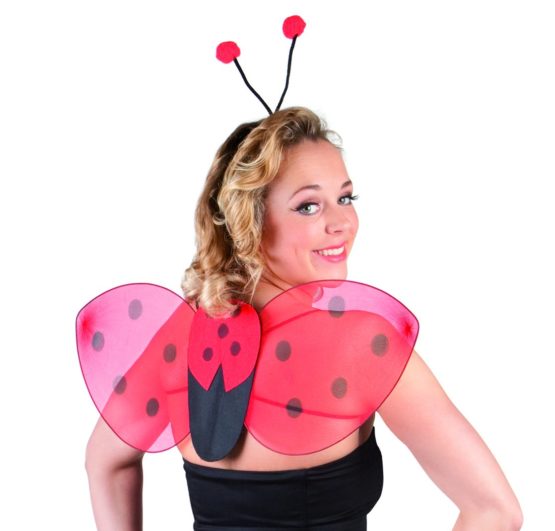 Boland 10102741 52853 Ladybird Headband and Wings Kit 25x63 cm Red, Unique