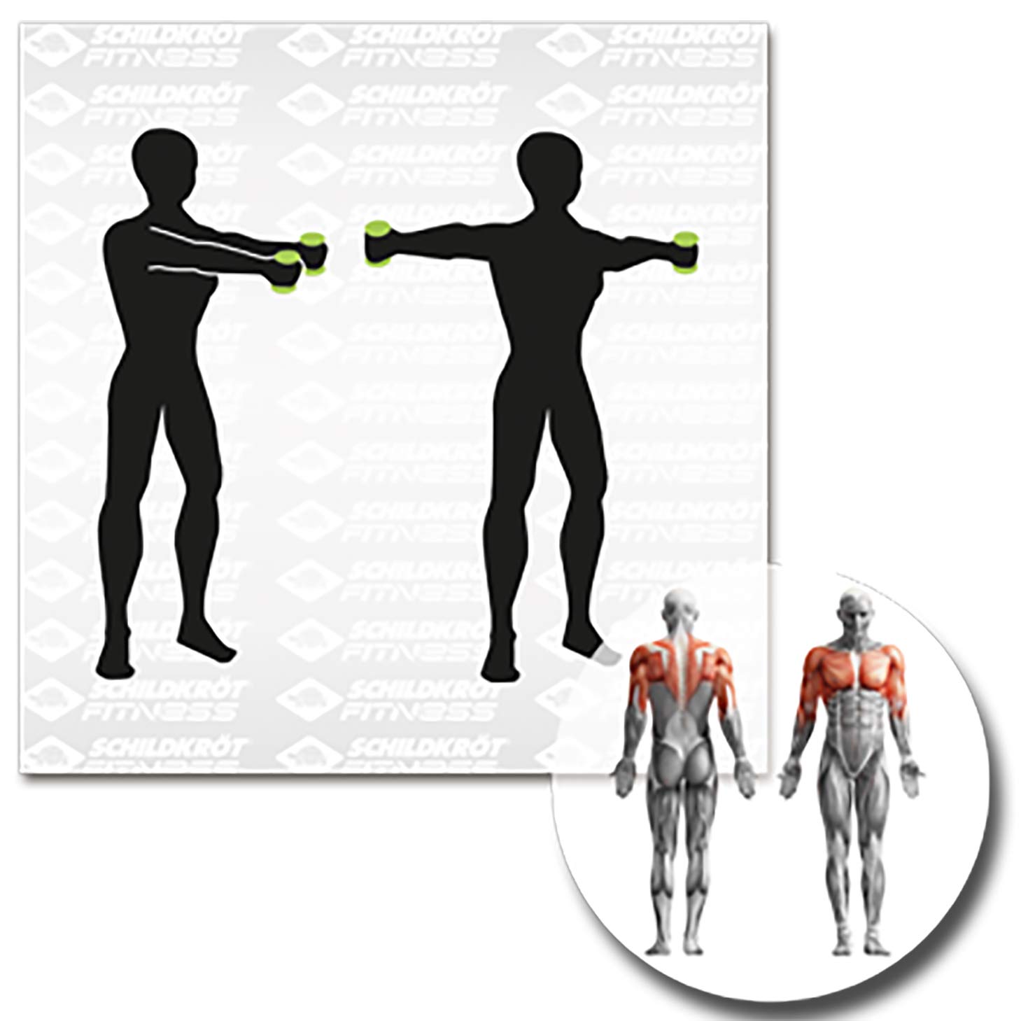 Schildkröt Fitness Vinyl Dumbbell Set, 2 x 1.0 kg, Green, 960005, 2 x 0.5 kg, 2 x 0.5kg, Green - Image 2