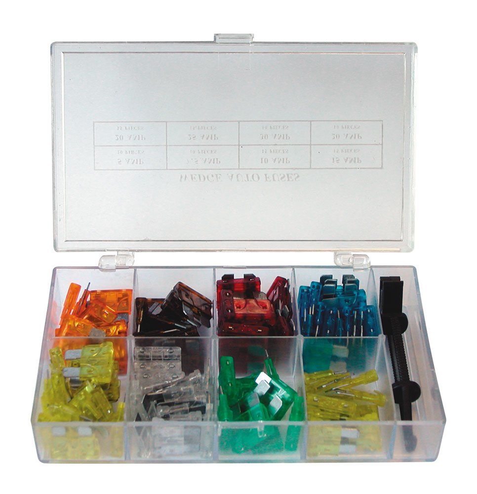 Cora 000120626 Box of 100 Assorted Lamellar Fuses