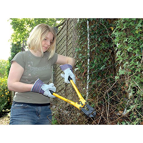 ABUS 65/50 Brass Padlock - Image 2