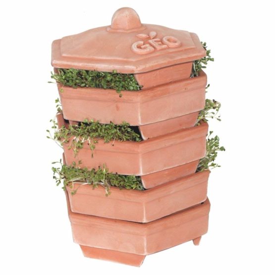 Geo TZZ0933 "Geo Terradisiena Terracotta" Sprouter - Brown - Image 2