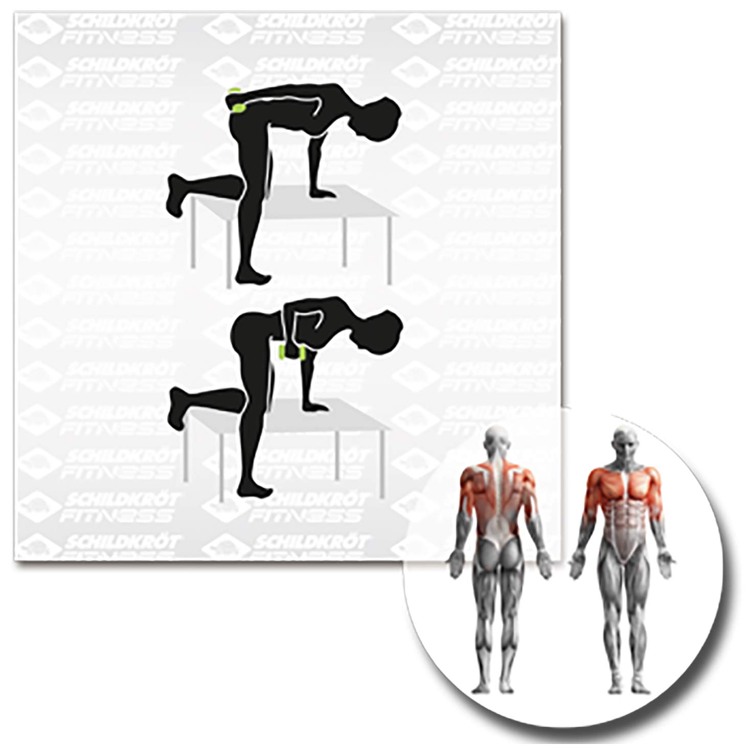 Schildkröt Fitness Vinyl Dumbbell Set, 2 x 1.0 kg, Green, 960005, 2 x 0.5 kg, 2 x 0.5kg, Green - Image 4