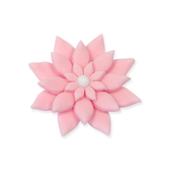 PME DA634 Daisy Marguerite Plunger Cutters, Mini, Small, Medium and Large Sizes, Set of 4 White - Image 3