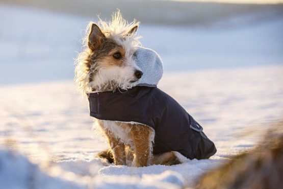 Kerbl Teddy Dog Coat, 45 - 59 cm - Image 3