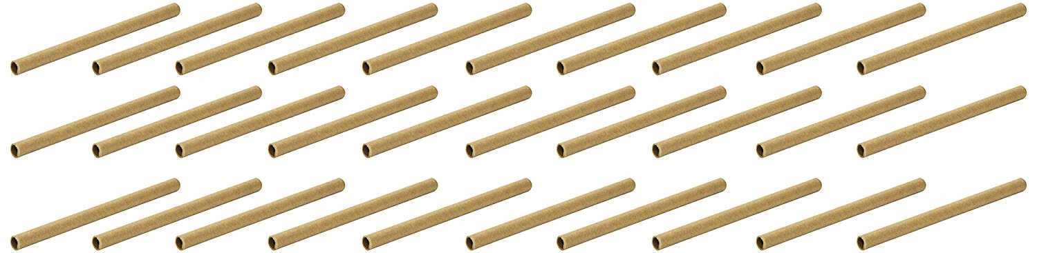 Wildlife World Solitary Bee Tubes Card (Pack of 30), BTU8, Gold