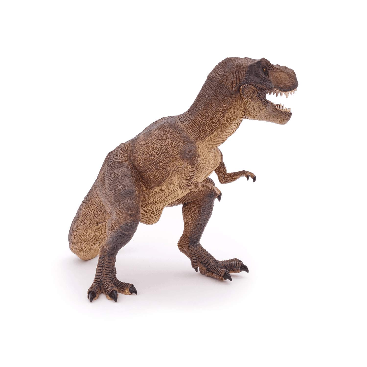 Papo, Realistic T Rex Dinosaur Figure, Ages 3+, Dinosaurs Collection, Educational Play Prehistoric Predator - Image 4