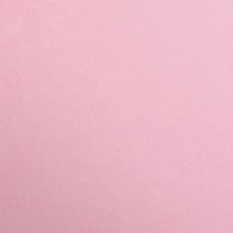 Clairefontaine 92100465 Maya Coloured Smooth Drawing Paper, 120 g, A4 - Pale Pink, Pack of 25 Sheets