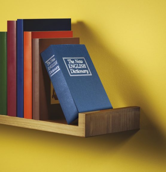 Thumbs Up UK Book Safe, English Dictionary Style - Image 4