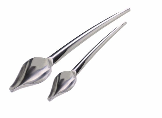 Jean Daudignac 0601050 Set of 2 Quill Spoons for Cake Decorating Stainless Steel