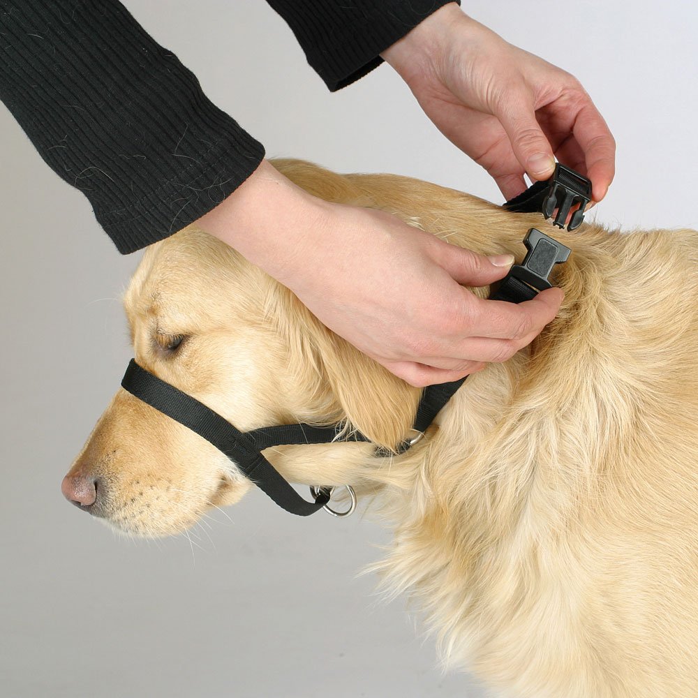 Kerbl Pet Maxi Coach Harness, Size 2 - Image 3