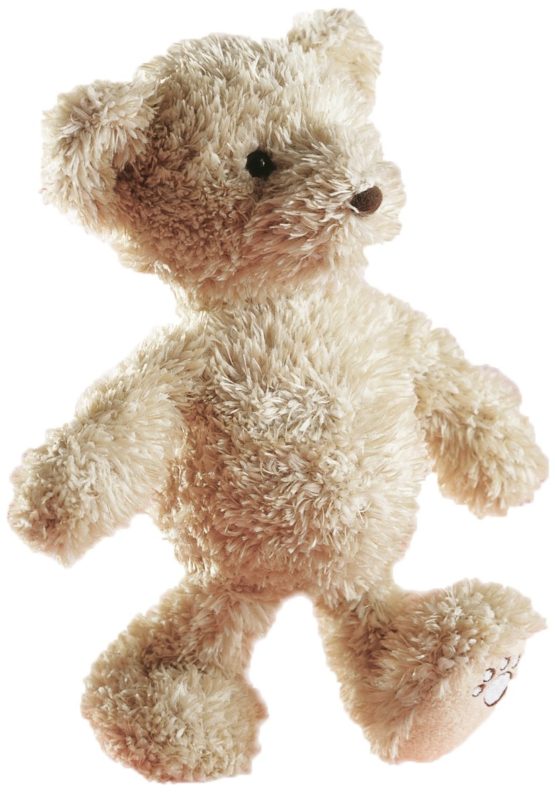 luca teddy