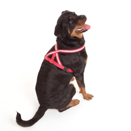 COA Comfy Harness, X-Small - Image 3