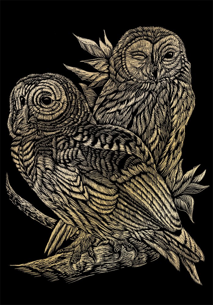 Royal & Langnickel Gold Engraving Art A4 Size Owls Designed Painting Set, Multicolour, OSFA - Image 2