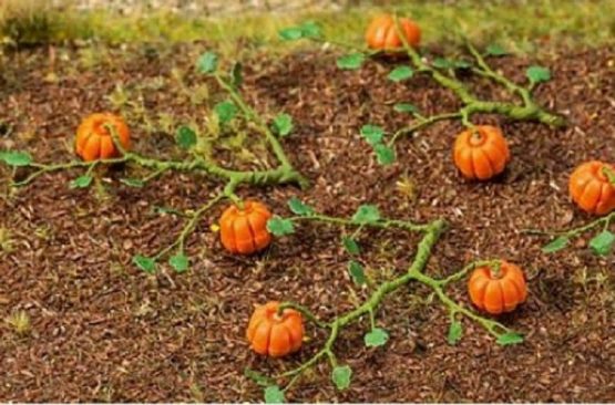 Faller 181258 - 6 Pumpkin Plants - Model Railway Accessories - Model Making