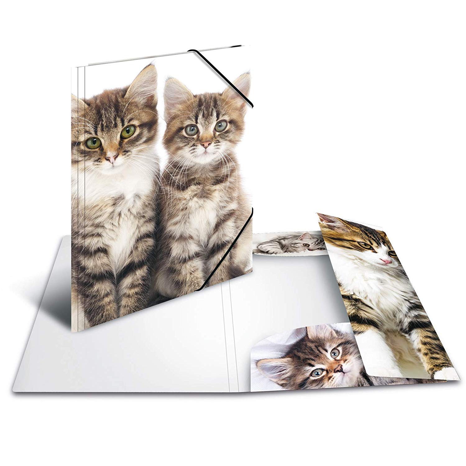 HERMA Elastic Folder Animals, Assorted Colourful Designs, A3, Sturdy Plastic, with Inner Print, Pack of 10 - Image 4