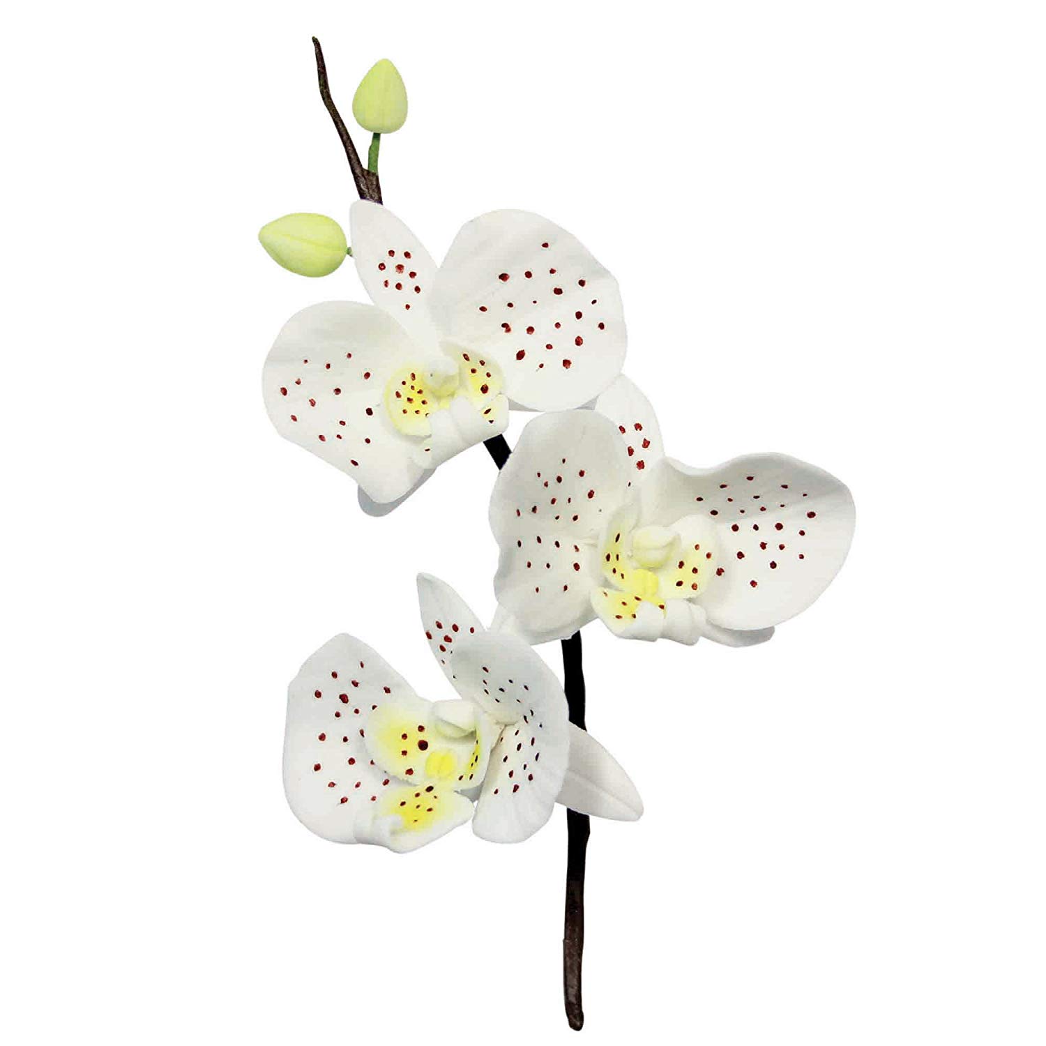 PME MO223 Stainless Steel Moth Orchid Petal Cutters, Set of 3 , Silver , 2 x 9 x 14.1 cm - Image 2