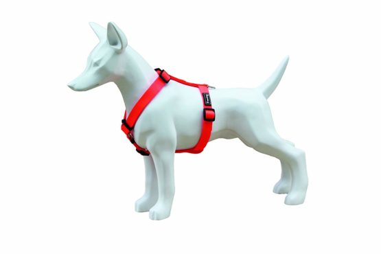 Freedog fd4002036 Nylon Harness Neon, Dog, ORANGE FLUORESCENT
