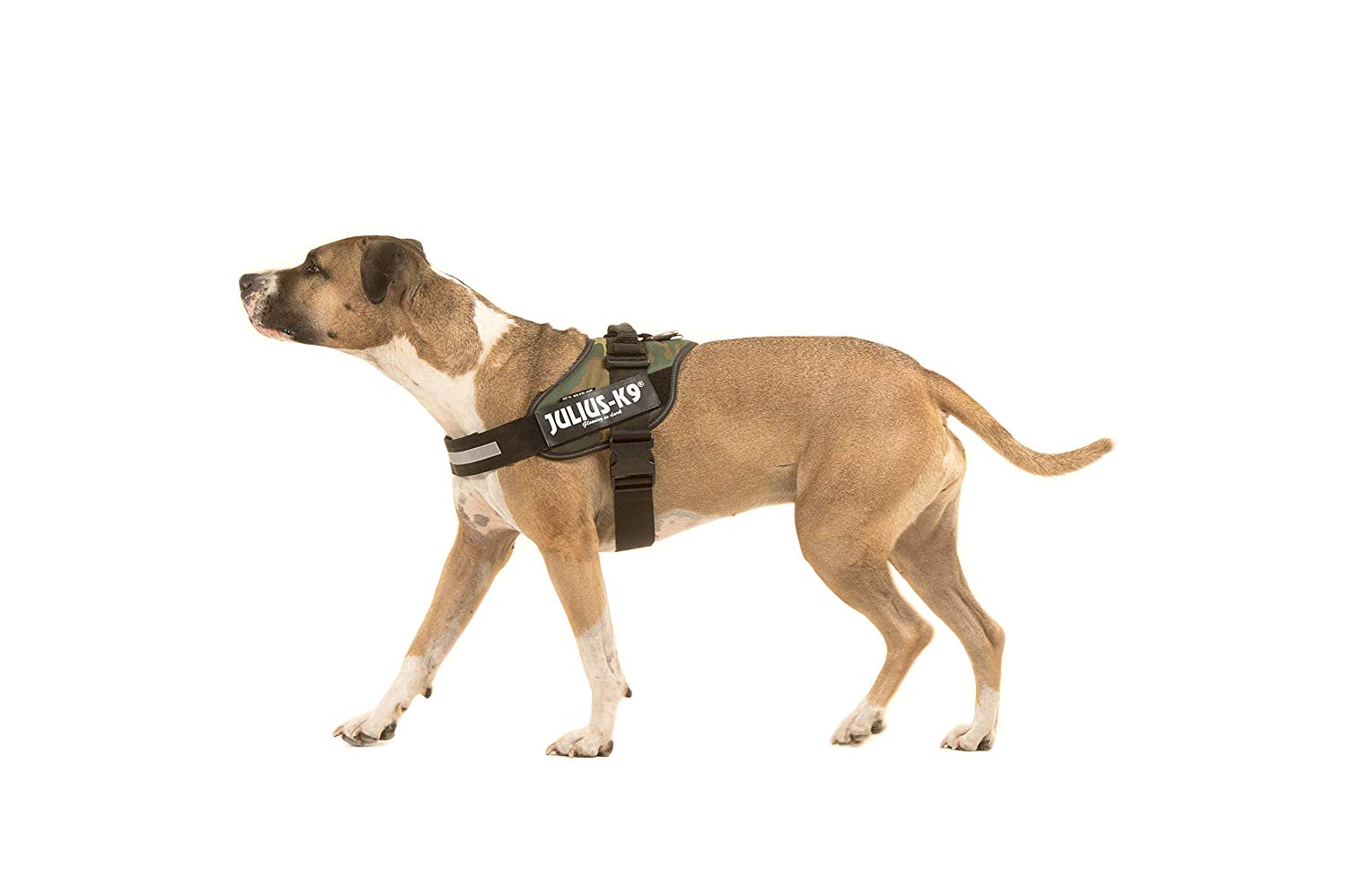 IDC Powerharness, Size: S/Mini, Camouflage - Image 4