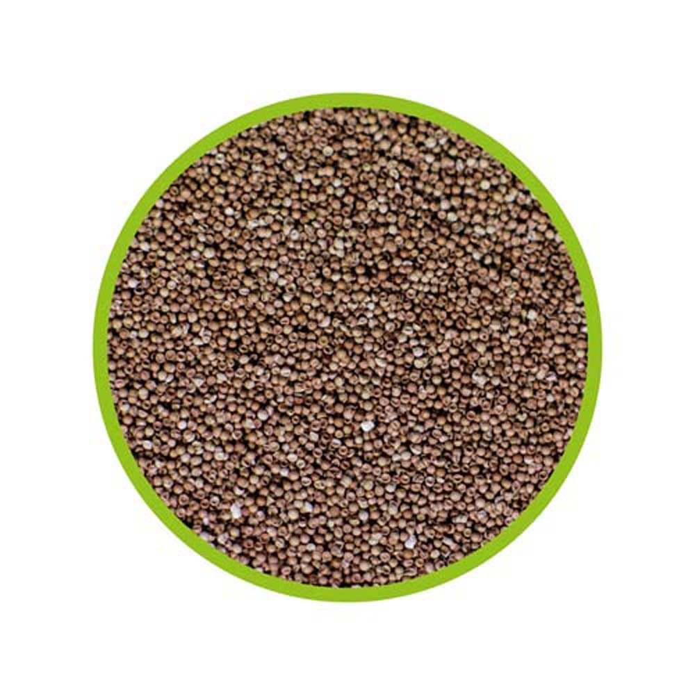 Hobby Artemia Breeder, Black - Image 4