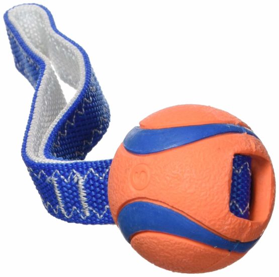 Chuckit Ultra Tug Dog Toy, 5 cm, Small