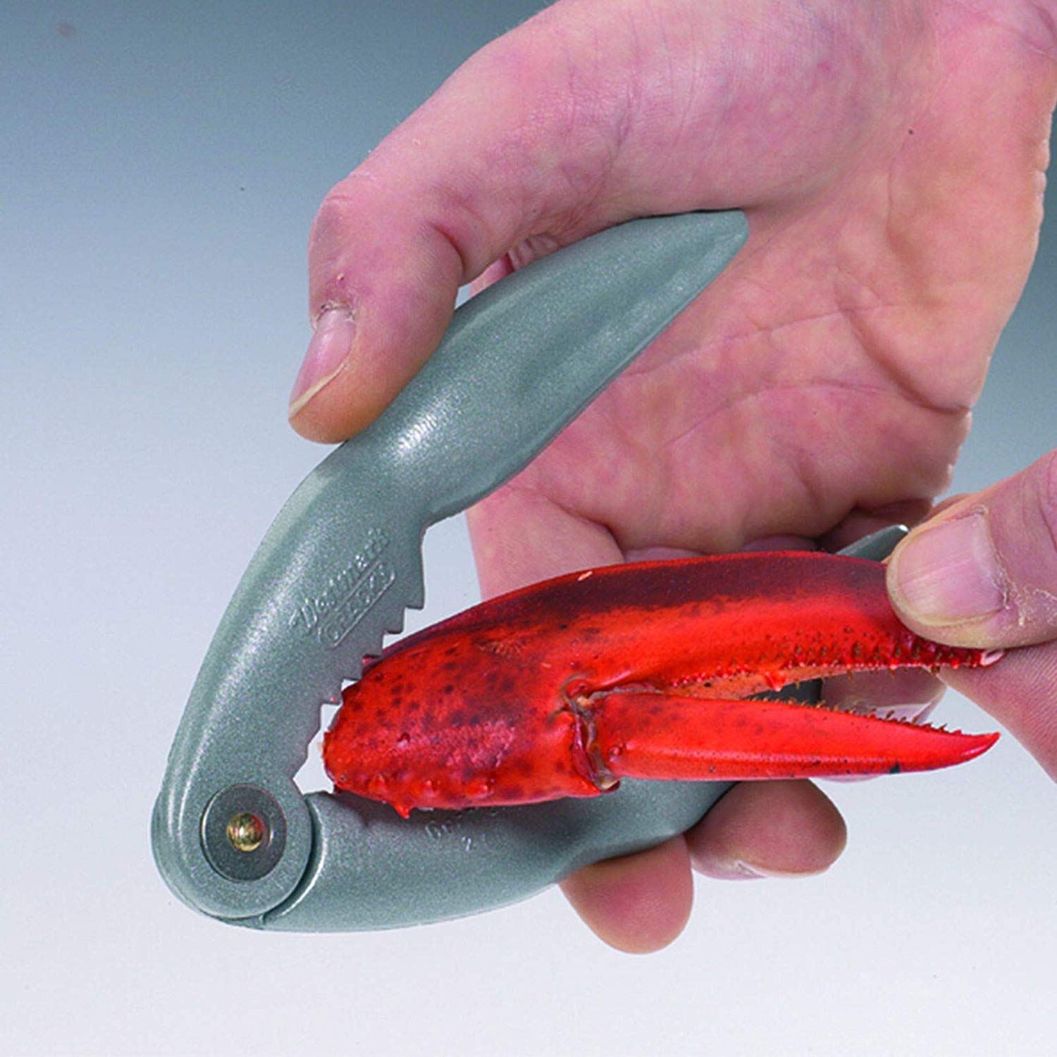 Westmark Lobster Cracker, Aluminium, Special Food-Safe Coating, Length: 14.4 cm, Cracky, Silver, 66002270 - Image 4