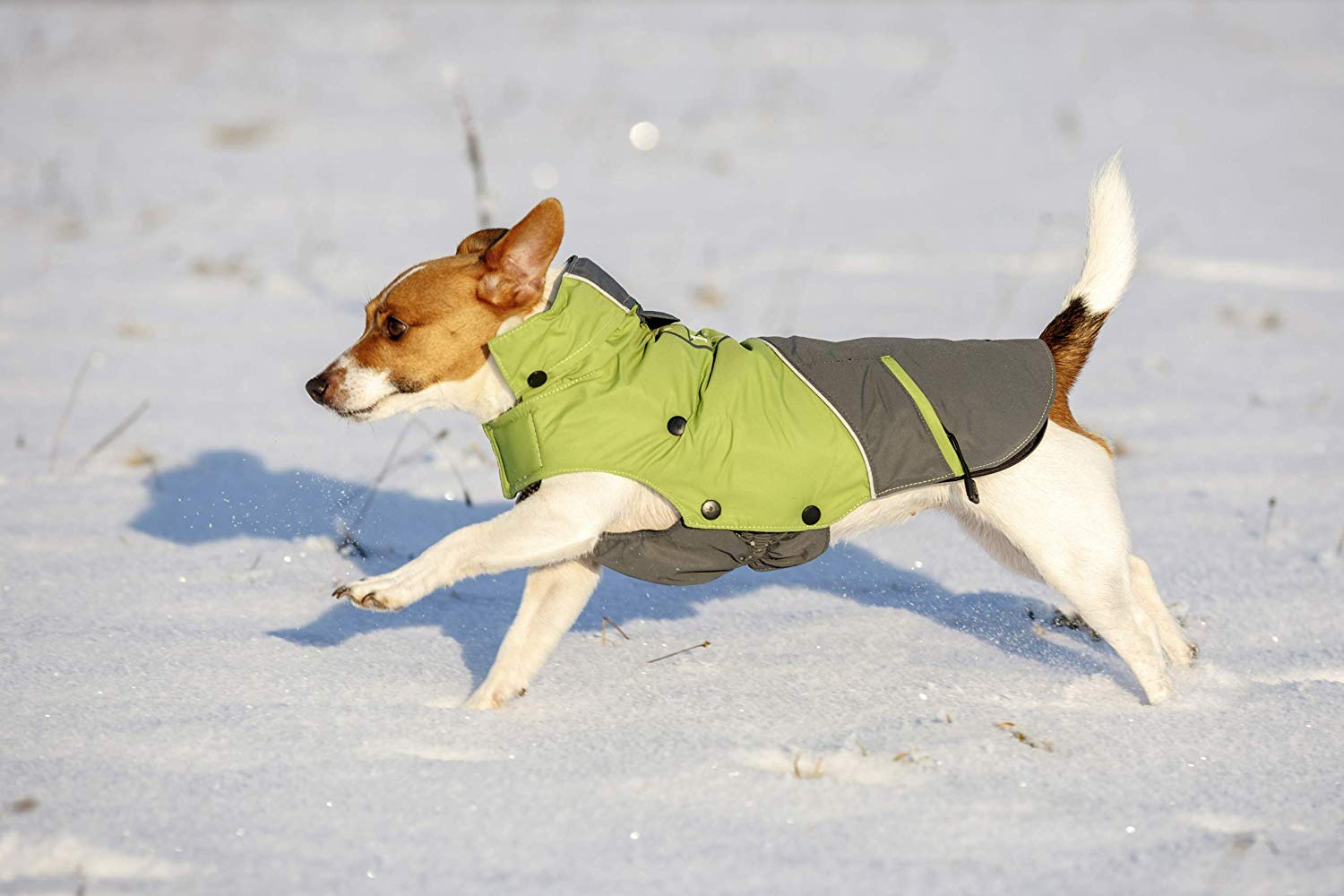 Kerbl Outdoor Dog Coat Vancouver, 50 cm, Green/ Grey - Image 3
