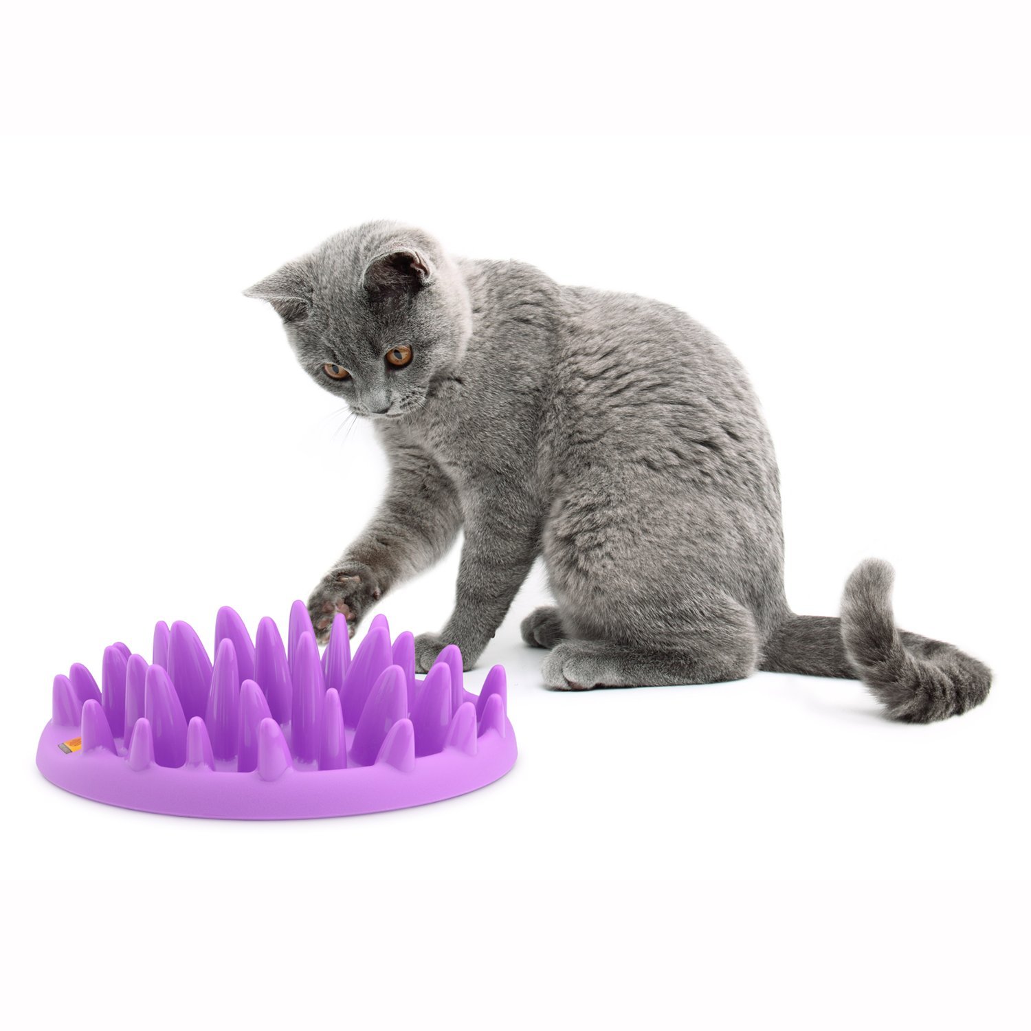 Company of Animals CATCH Interactive Cat Slow Feeder, Best Fun Slow Feeder Cat Bowl, Anti-Gulp