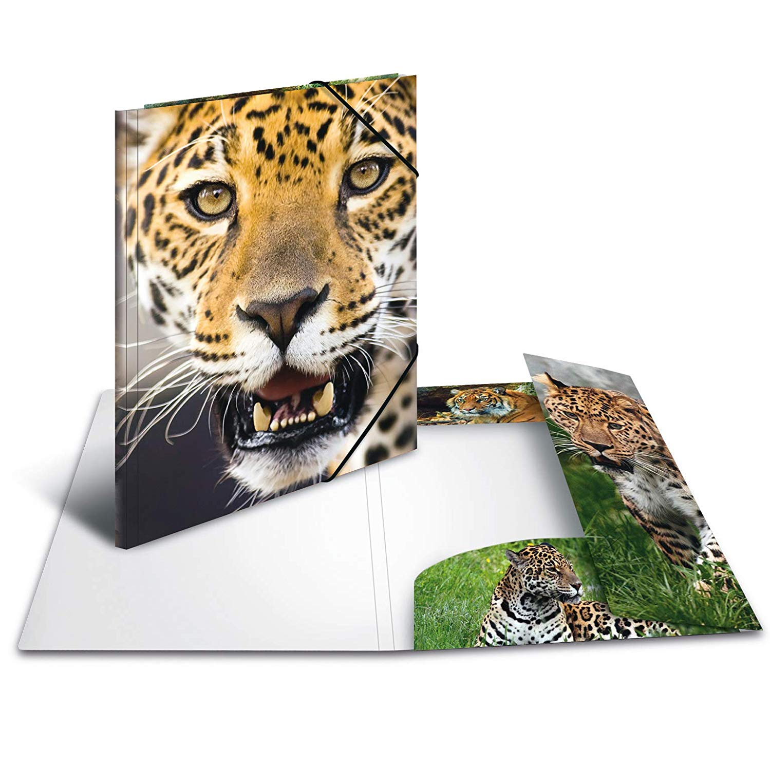 HERMA Elastic Folder Animals, Assorted Colourful Designs, A3, Sturdy Plastic, with Inner Print, Pack of 10 - Image 3