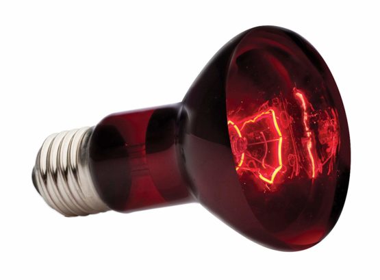 Exo Terra Infrared Basking Spot Lamp, 75 W - Image 2