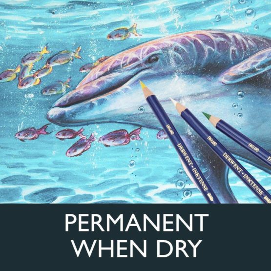 Derwent Inktense Permanent Watersoluble Pencils, Drawing & Painting, Set Of 12, Ideal For Layering & Use On Fabrics, Professional Quality, 0700928 - Image 4