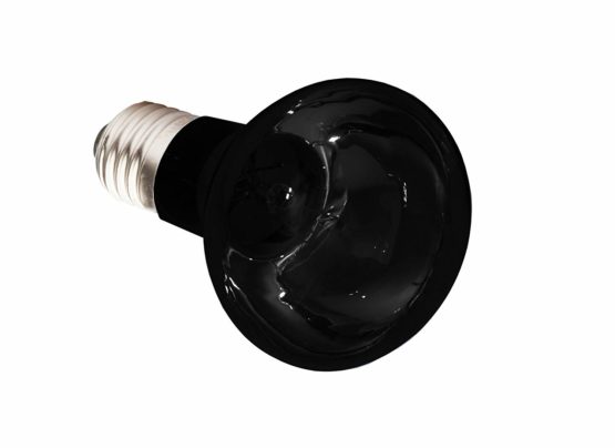 Komodo Nightglow Spot Lamp ES, 75 Watt