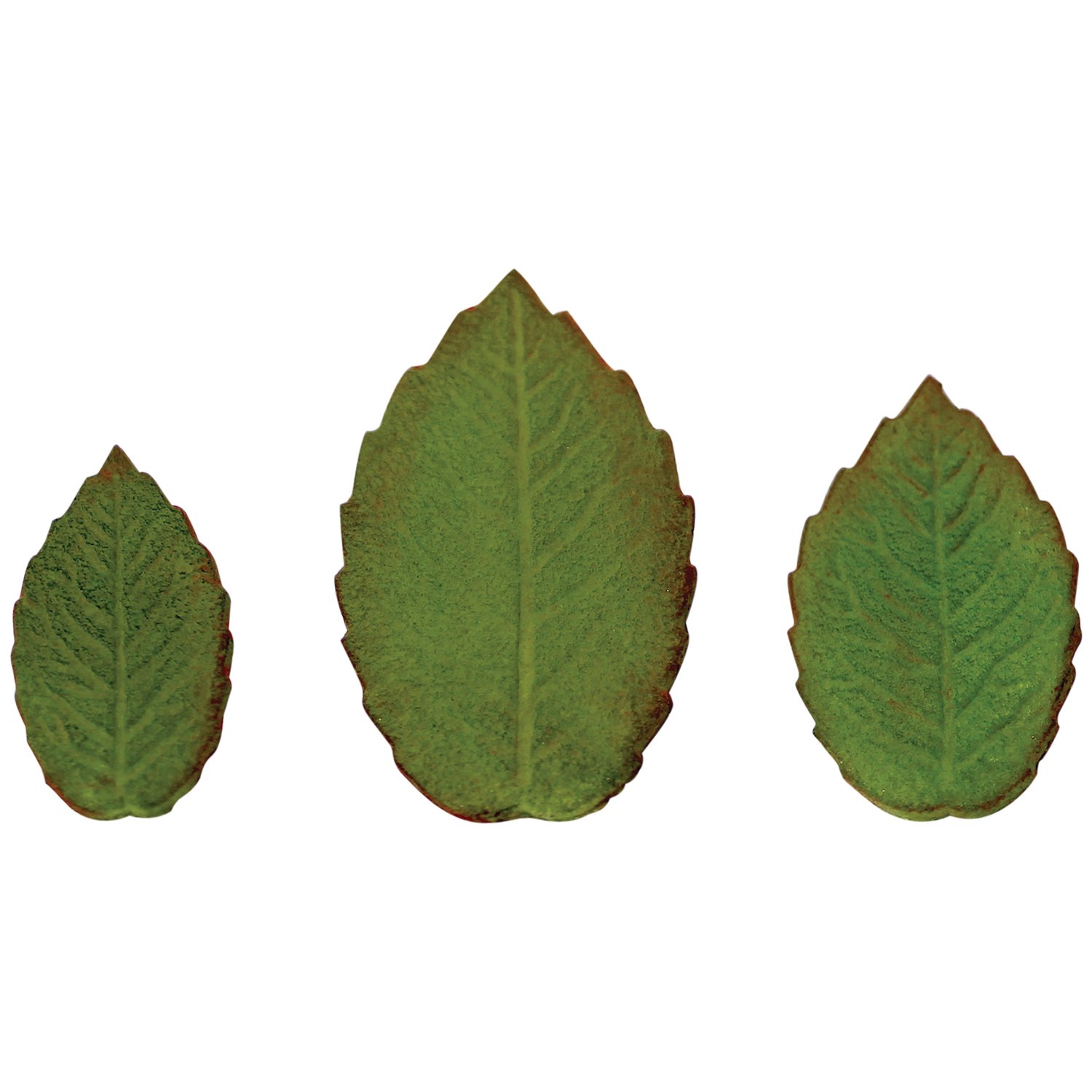 PME RL530 Plunger Cutters 3 kg-Veined Rose Leaf, White, Set of 3 - Image 4