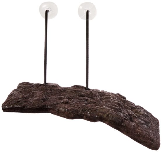 Zoo Med TD-30 Turtle Dock, Small