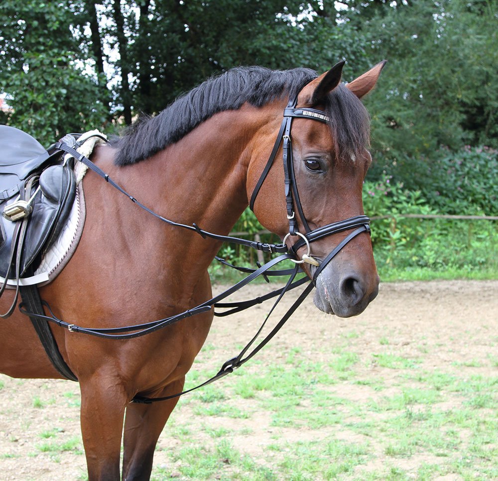 Kerbl Triangular Vienna Reins BigaMart