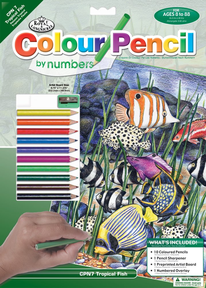 Royal & Langnickel Colour Pencil by Numbers Tropical Fish Designed Painting Set, multicolour - Image 3