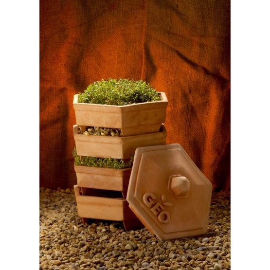 Geo TZZ0933 "Geo Terradisiena Terracotta" Sprouter - Brown - Image 4