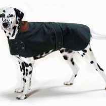Cosipet Hunter Coat, 24-inch/ 61 cm, Green