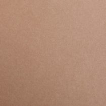 Clairefontaine 97374C Maya Coloured Smooth Drawing Paper, 120 g, A4 - Light Brown, Pack of 25 Sheets