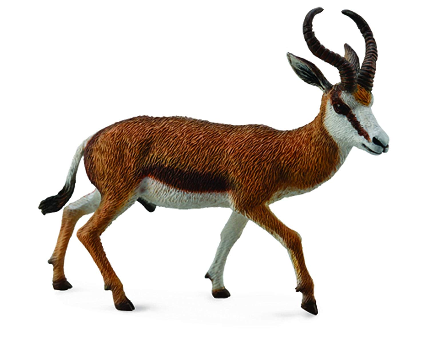 Collecta Wildlife Springbok Toy Figure – Authentic Hand Painted Model ...