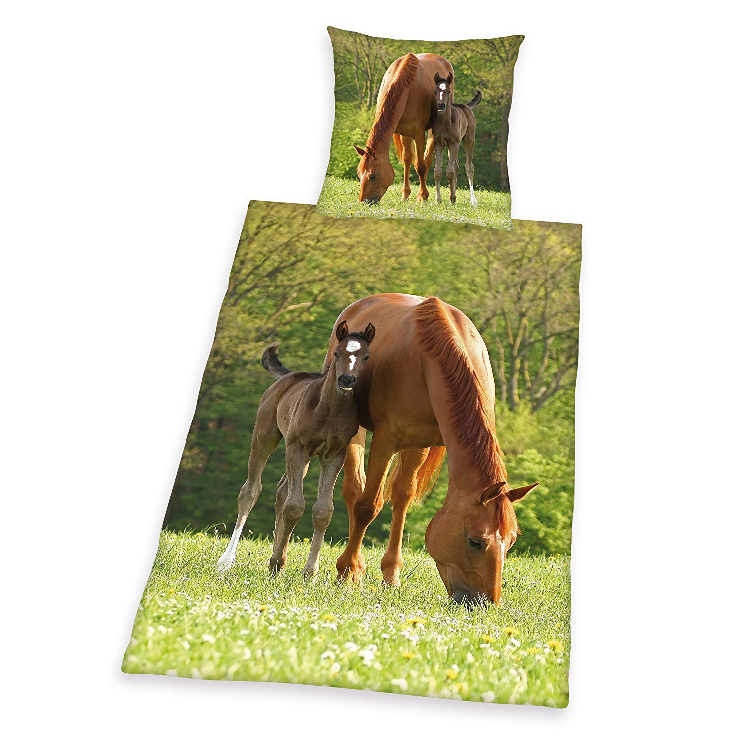 Herding YOUNG COLLECTION Bedding Set, Horse Motif, Duvet Cover 135 x 200 cm, Pillow Case 80 x 80 cm, Cotton/Renforcé