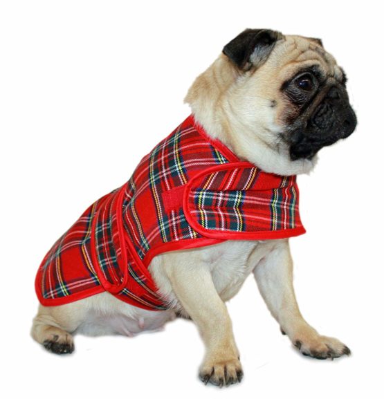 Cosipet Tartan Coat, 16-inch/ 41 cm, Red - Image 2