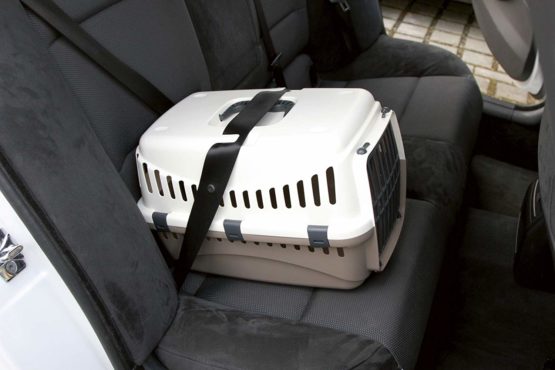 Kerbl Transport Box Expedion with Plastic Door, 45 x 30 x 30 cm, Cream/ Taupe - Image 2
