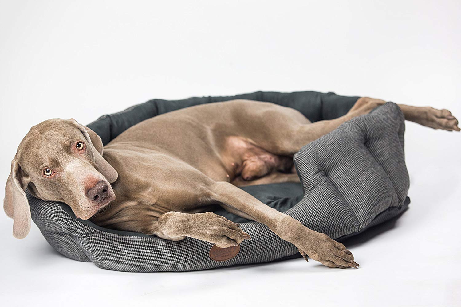 Nobby Josi Comfort Oval Dog Bed, 55 x 50 x 21 cm, Grey, 55 x 50 x 21 cm (L x W x H) - Image 3
