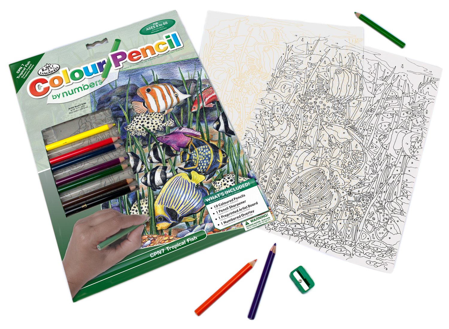 Royal & Langnickel Colour Pencil by Numbers Tropical Fish Designed Painting Set, multicolour - Image 2