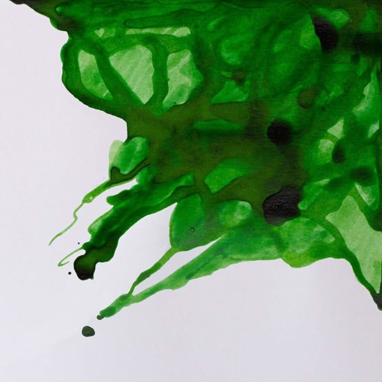 Winsor & Newton 14ml Drawing Ink Bottle - Apple Green - Image 2